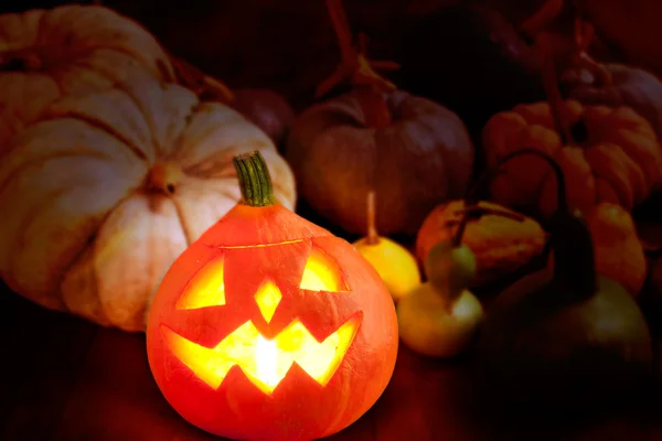 Halloween Kürbis Jack o Laterne glüht — Stockfoto