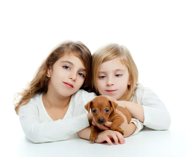 Irmã criança meninas e filhote de cachorro mascote mini pinscher — Fotografia de Stock