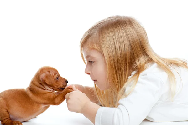Fille blonde enfants avec chien chiot mini pinscher — Photo