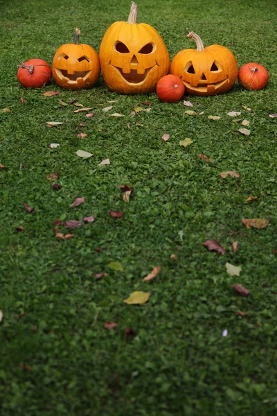 Calabazas para Halloween — Foto de Stock