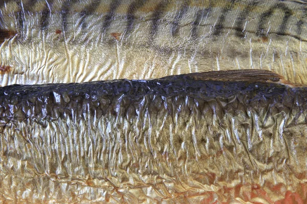 Uzená ryba — Stock fotografie