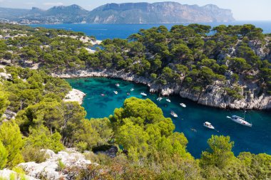 Calanques of Port Pin in Cassis clipart