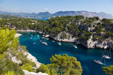Calanques of Port Pin in Cassis clipart