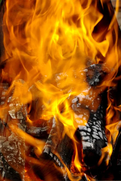 Blazing fire — Zdjęcie stockowe