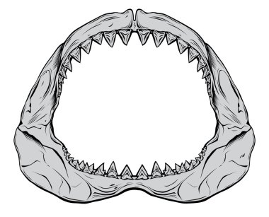 Shark Jaw clipart