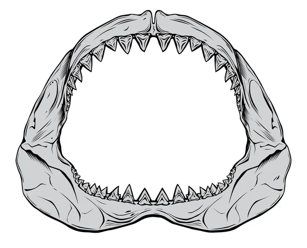 Mandíbula de tiburón — Vector de stock