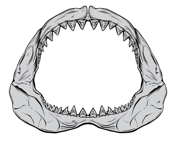 Shark Jaw