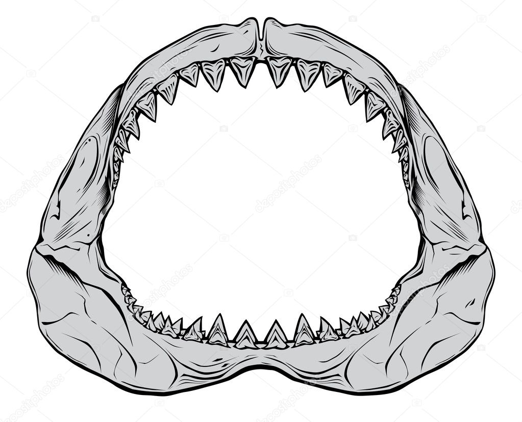 Shark Mouth Outline