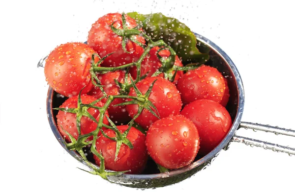 Tvätta färska tomater — Stockfoto