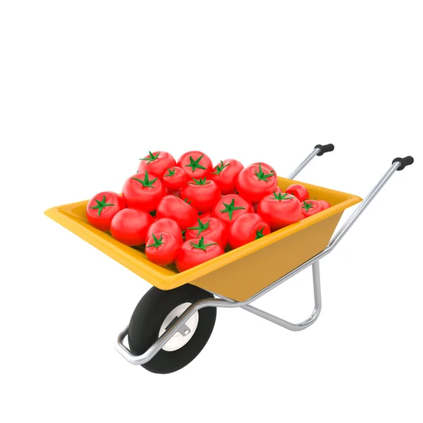 En skottkärra med tomater — Stockfoto