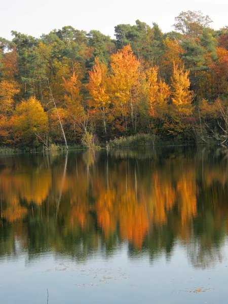 湖のほとり秋 — ストック写真