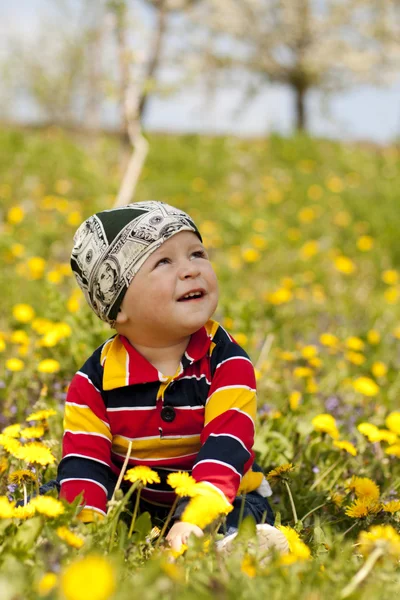 The boy sitting in flowers — Stockfoto