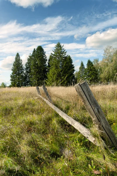 Деревянный забор из дерева — стоковое фото