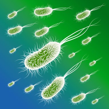 Group of the E coli Bacteries clipart