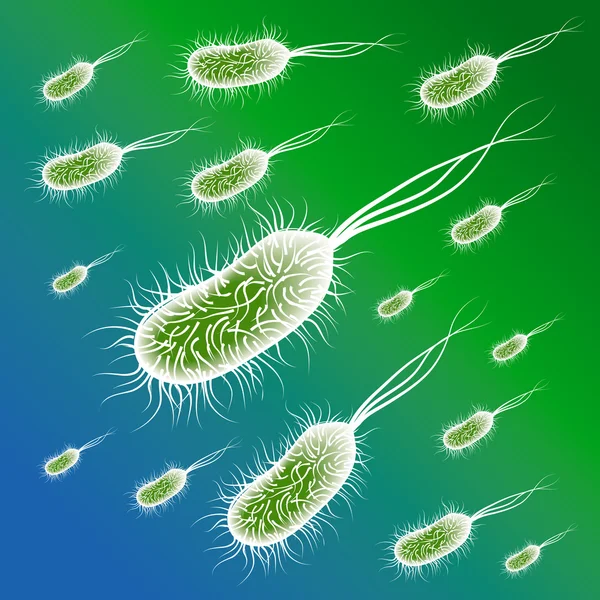 Group of the E coli Bacteries — Stock Vector