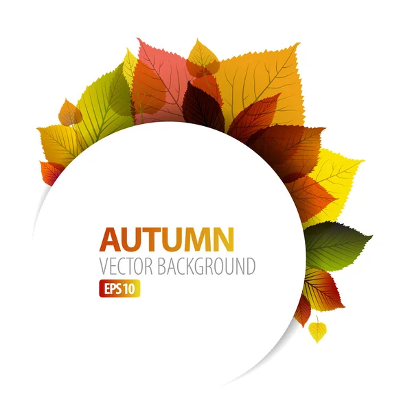 Осенний абстрактный цветочный фон — стоковый вектор