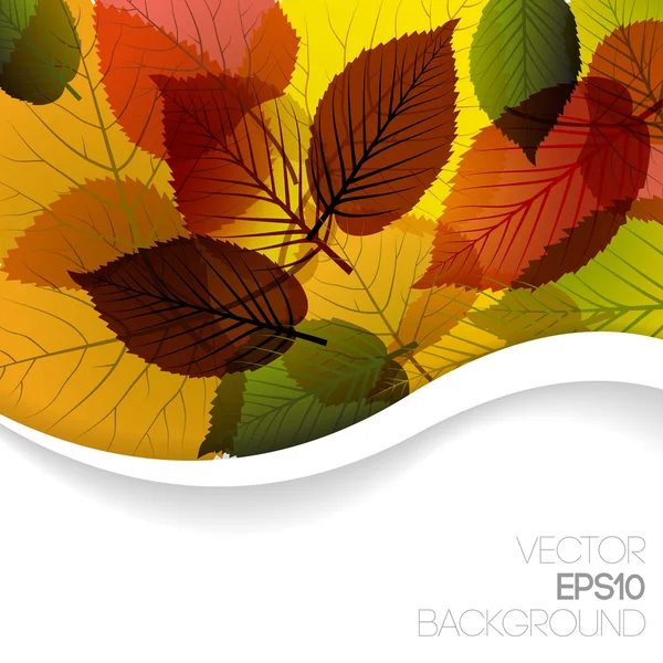 Outono abstrato floral fundo — Vetor de Stock