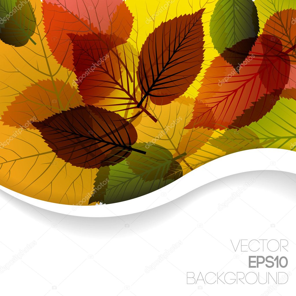 Autumn abstract floral background