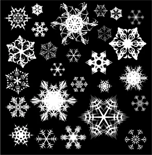 Various snowflakes on black — Stock Vector