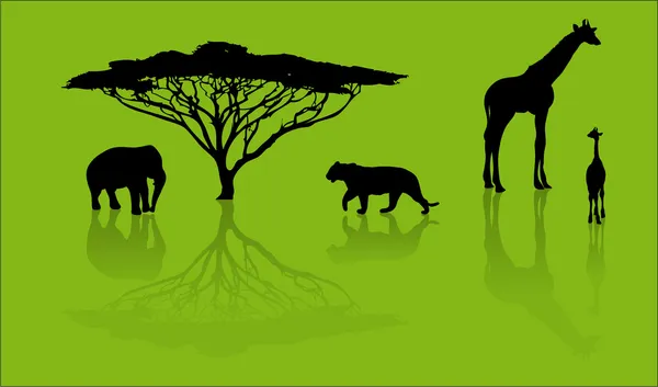 Siluety zvířat ze safari — Stockový vektor