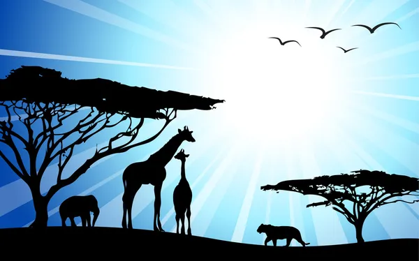 Afrika - safari - silhouetten van wilde dieren in dawn — Stockvector