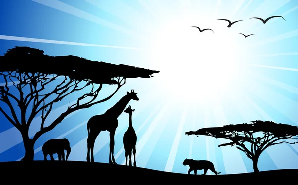 Africa, safari - silhouette — Vettoriale Stock