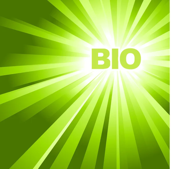 Bio, Öko, Bio-Plakat — Stockvektor