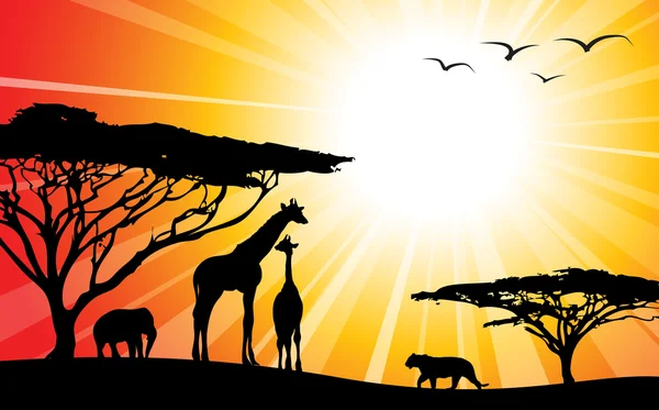 Afrika nebo safari - siluety — Stockový vektor