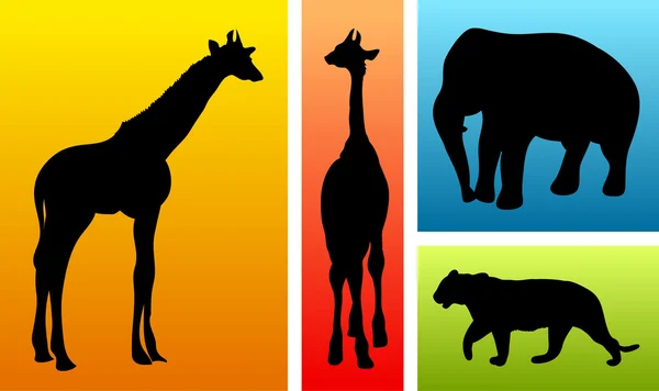 Tiere aus Safari, Zoo — Stockvektor