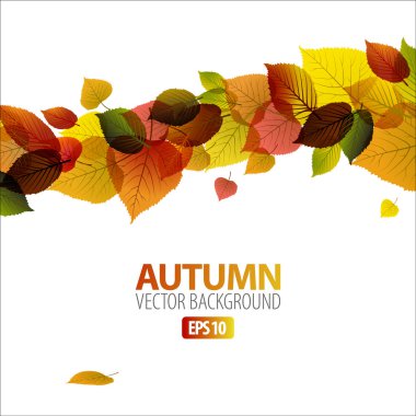 Autumn abstract floral background clipart