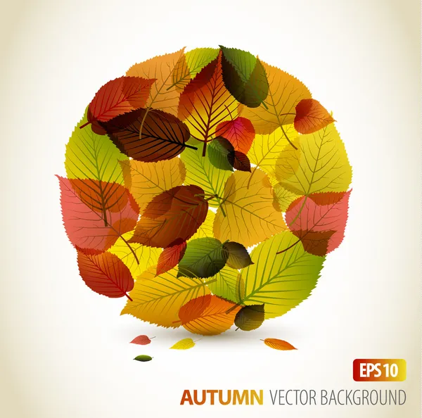 Autumn abstract floral background — Stock Vector