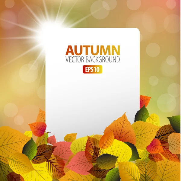 Fondo de otoño vectorial con tarjeta blanca — Vector de stock