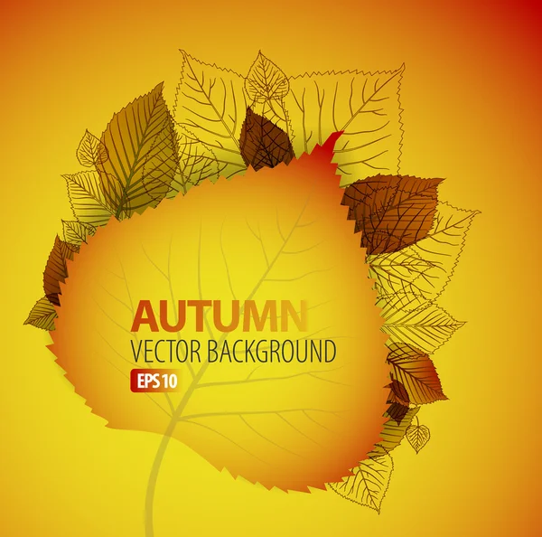 秋の抽象的な花の背景 — ストックベクタ