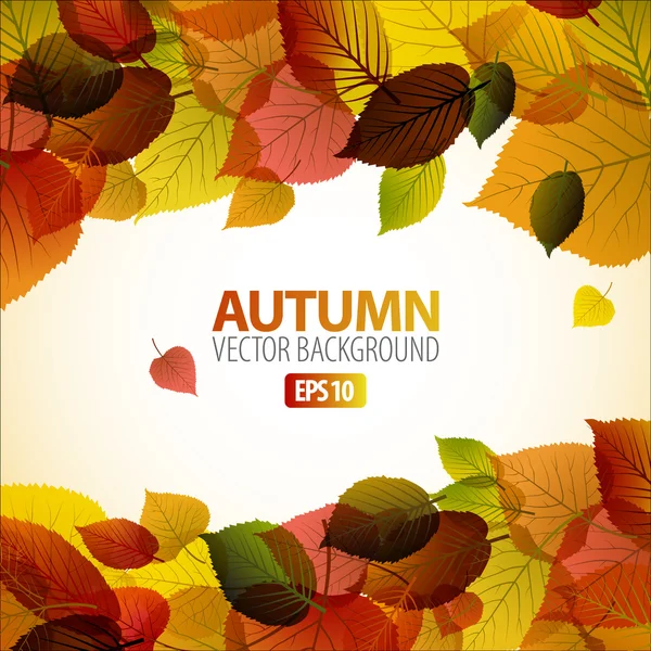 Vektorové podzimní pozadí abstraktní s barevnými listy — Stockový vektor