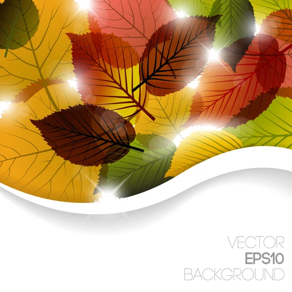 Herfst abstract floral achtergrond — Stockvector