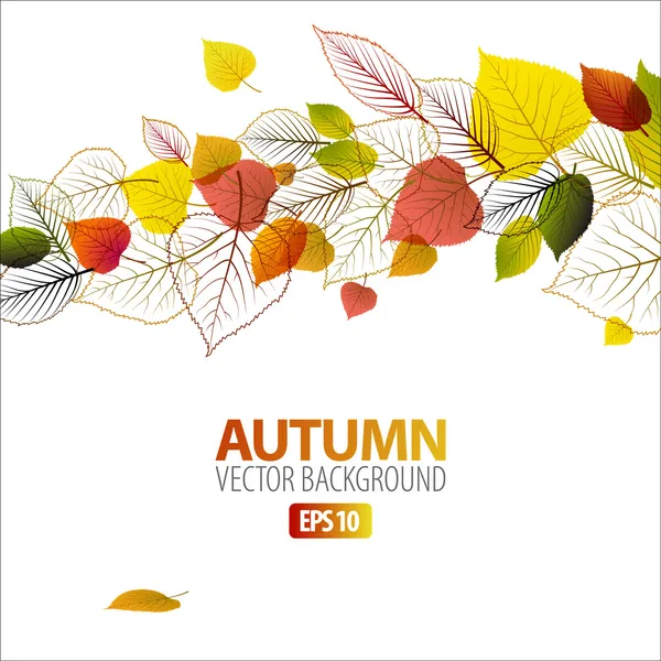 Vector Autumn abstract floral background — Stock Vector