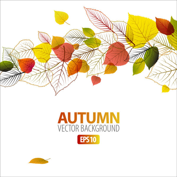 Vector Autumn abstract floral background