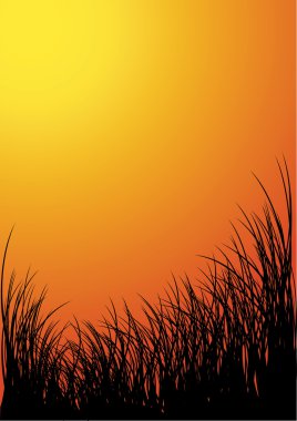 Vector grass silhouette background - sunset clipart