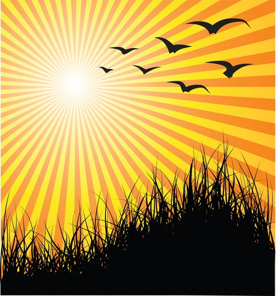 Yaz vektör arka plan - çimen, kuşlar ve gün batımı — Stok Vektör