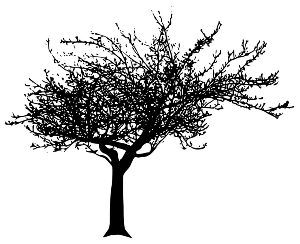 Вектор дерево — стоковий вектор