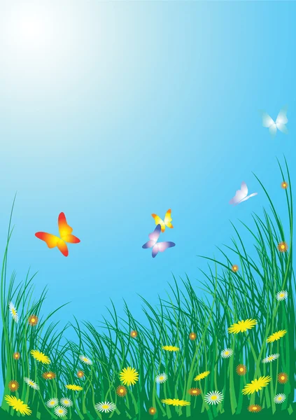 Łąka wiosenna z kwiatami i motylami — Wektor stockowy