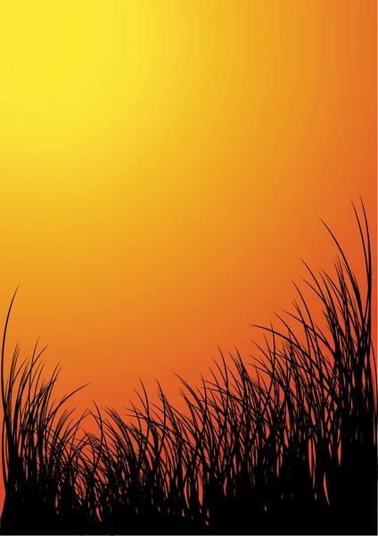 Fondo de silueta de hierba vectorial - puesta del sol — Vector de stock