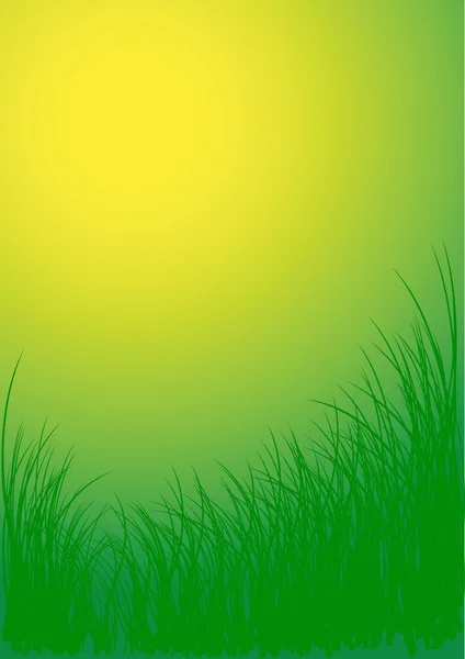 Grön vektor gräs bakgrund — Stock vektor