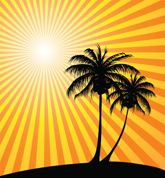 Puesta de sol en la playa — Vector de stock