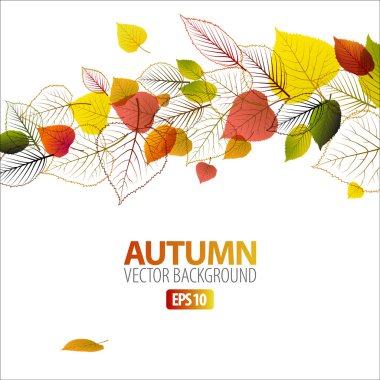 Vector Autumn abstract floral background clipart