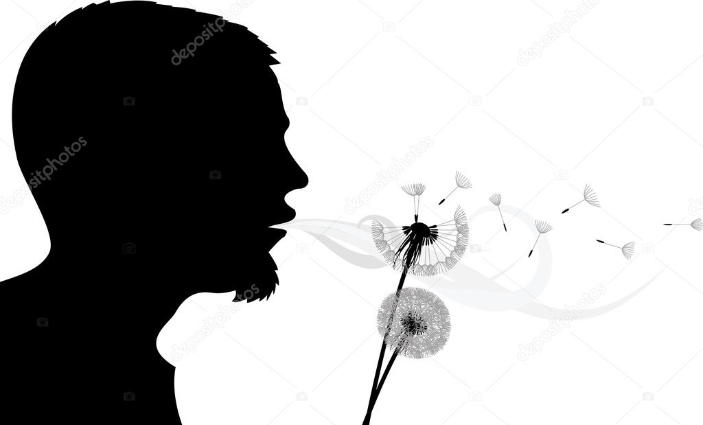 Blowing into dandelion