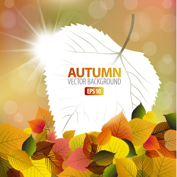 Fond d'automne vectoriel avec une carte — Image vectorielle