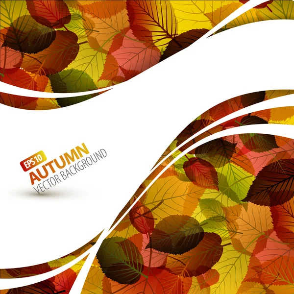 Colorido vector fondo otoño — Vector de stock