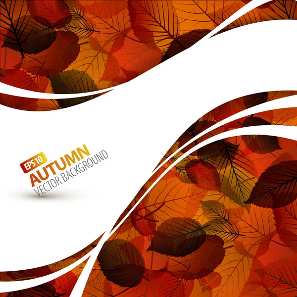 Fond d'automne vecteur coloré — Image vectorielle