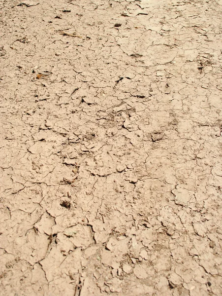 Stock image Orange clay and straw texture